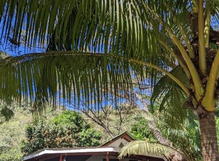 Cobano House | Ocean View