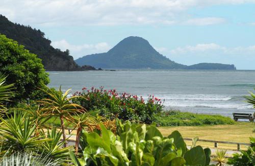 Ohope Apartment | Ocean View