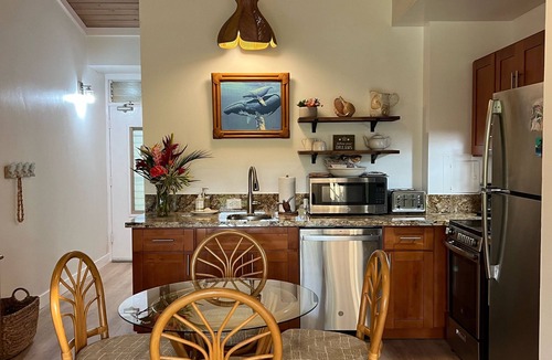 Napili Condo | Oceanfront Remodled Napili Resort Beach, Pools & AC