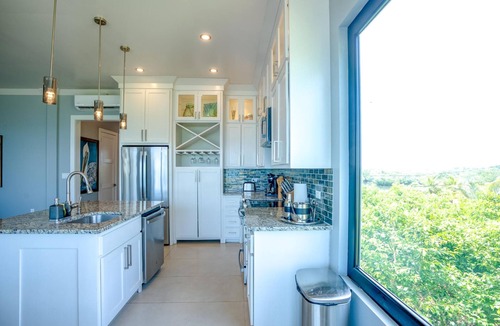 Placencia Apartment | Oceanfront Sunset Gecko Condo - Second Floor 2A