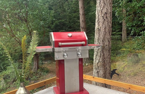 Galiano House | Oceanfront Views, Full Kitchen, Wi-Fi ~ Where the Forest Meets the Ocean