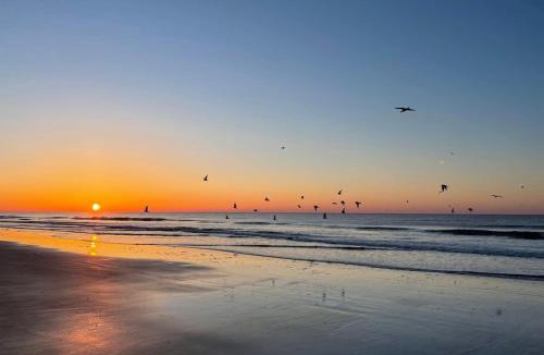 Folly Field Apartment | Oceanfront Villa, Pool, Beach, Sleeps 5