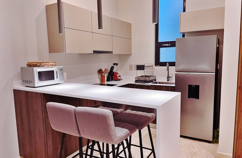 Playa Paraiso Apartment | Oceanview Rooftop 1BD Apart Patio Jacuzzi