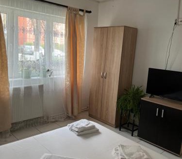 Emanoil Gojdu Apartment | Octav Suite