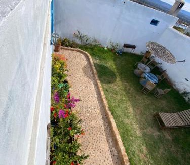 Essaouira House | Octopus house