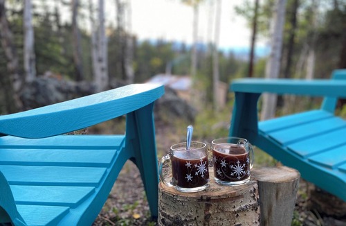 Indian Mountain Cabin | Off-Grid Forest Getaway w/WiFi on 4 Acres