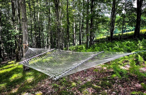 Bovina Center Cabin | Off-Grid Tiny Cabin Retreat with Fire Pit & Forest Views in Bovina, New York