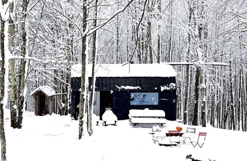 Bovina Center Cabin | Off-Grid Tiny Cabin Retreat with Fire Pit & Forest Views in Bovina, New York
