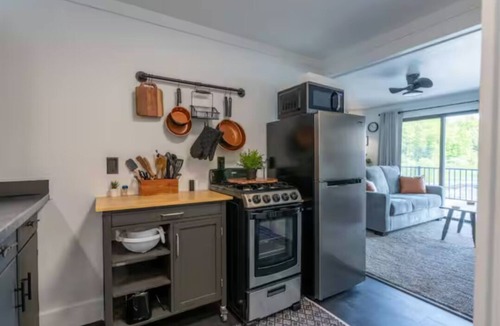 Newaygo Apartment | Off the Hook!