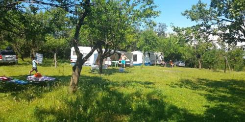 Predeal Other | OffCamping Bobicesti - land for camping, with water source and without electricity -Doar teren pentru campare cu sursa de apa , fără electricitate ! Self check-in !