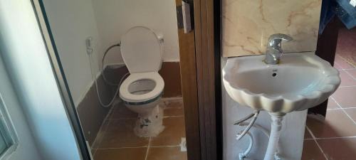 Suwailih Apartment | Offgrid Jerash-Ajlune MountainView Studio Shalea شاليه استوديو جبال جرش