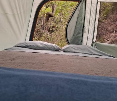 Monterrey Other | Ogachi Mini Glamp