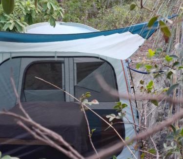 Monterrey Other | Ogachi Mini Glamp