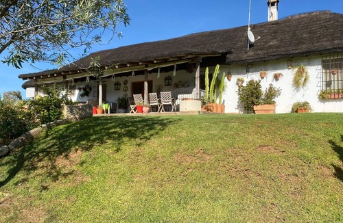 Villamanrique de la Condesa House | OLIVE GROVE OF GATOS FARM