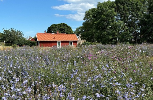 Storlinge House | Öland between windmill and nature reserve