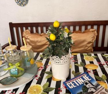 Donje Polje Apartment | Old House