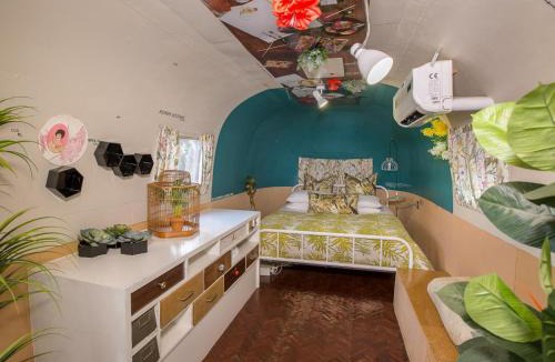 Grabouw Cabin | Old Mac Daddy