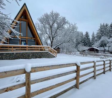 Traisteni Ski Chalet | Old Nut Cabin