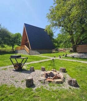 Traisteni Ski Chalet | Old Nut Cabin