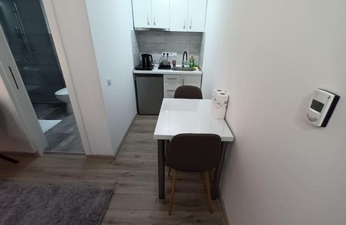 Baia Mare Apartment | Old Town Studio 1 Apartment nr 4