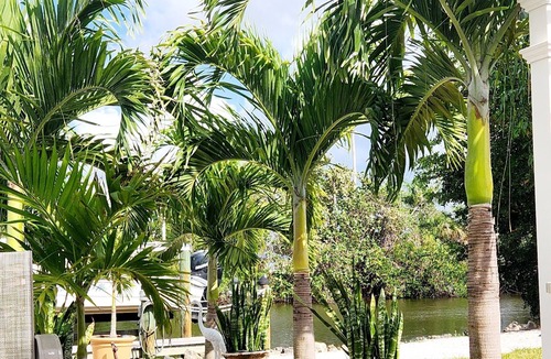 Redevelopment Area House | Olde Naples Waterfront Hideaway