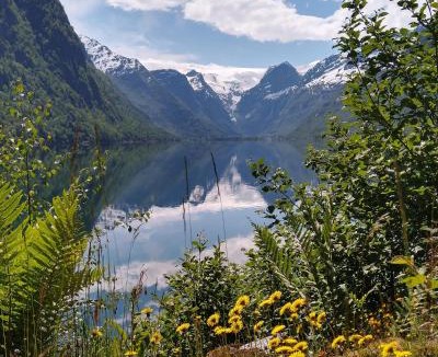 Olden Other | Oldevatn Camping