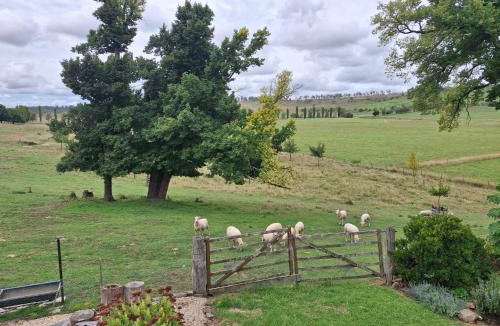 Walcha Bed & Breakfast | OLDGREENWELLS B&B