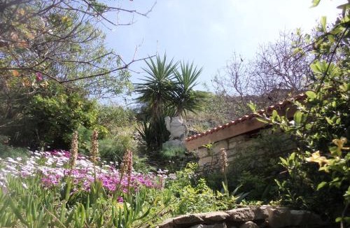 Lemona House | Oleander Stone House