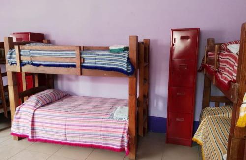 Downtown Guadalajara Hostel | Olga Querida B&B Hostal