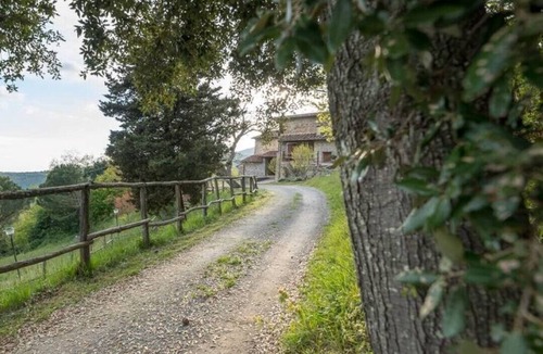 Pontassieve Apartment | Olive Apartment