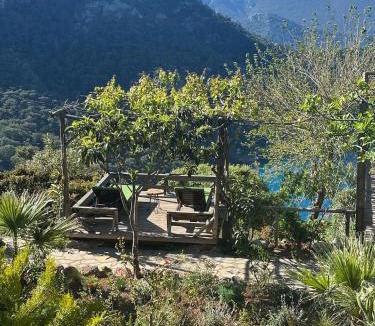 Kabak Valley Resort | Olive Garden Kabak