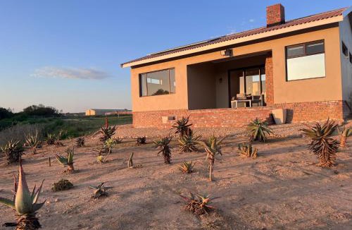 Addo House | Olive Grove Addo