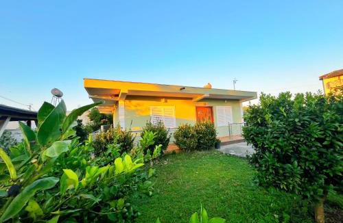Rade House | OLIVE Home