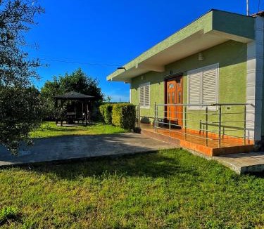 Rade House | OLIVE Home