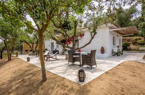 Kalamaki House | Olive House