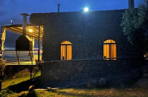 Gesher House | Olive house