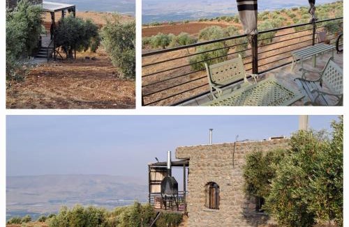 Gesher House | Olive house