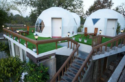 Tala Hotel | Olive