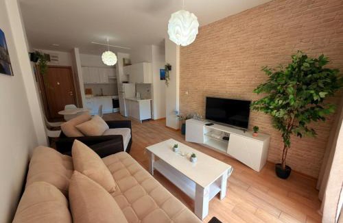 Golubovina Apartment | Olive Square Apartment Budva