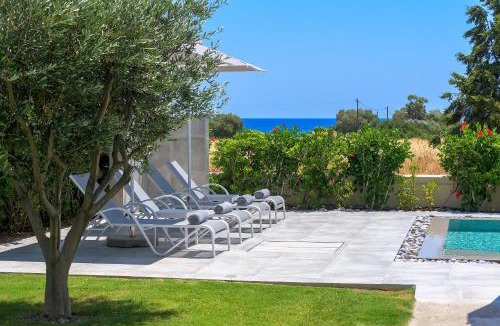 Gennadi Villa | Olive Tree House