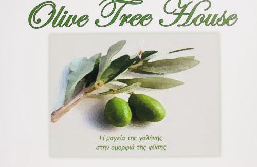 Voia House | Olive Tree House II