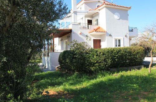 Voia House | Olive Tree House II