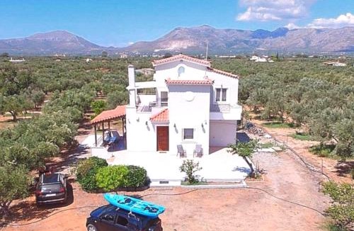 Voia House | Olive Tree House II