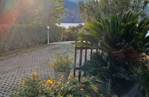 Cassone Apartment | Olive trees and relaxation