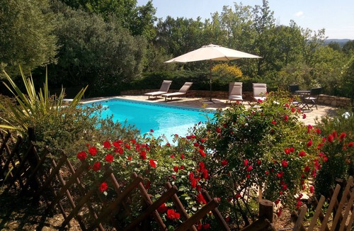 Cotignac Cottage | OLIVE TREES IN COTIGNAC (VAR)