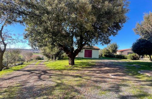 Riparbella Apartment | Oliveta Incantata