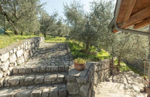Pergolese Apartment | Olivi e Ricordi, Madruzzo Ospitar