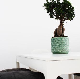 Pyrgos Apartment | Olosuites