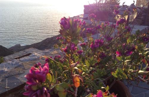 Olympos Apartment | Olympos Archipelagos