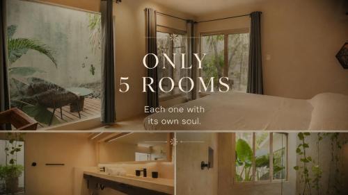 Alfredo V. Bonfil Apartment | OMA CANCUN - Holistic Healing Center